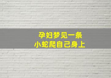 孕妇梦见一条小蛇爬自己身上