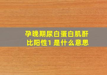 孕晚期尿白蛋白肌酐比阳性1+是什么意思