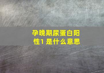 孕晚期尿蛋白阳性1+是什么意思