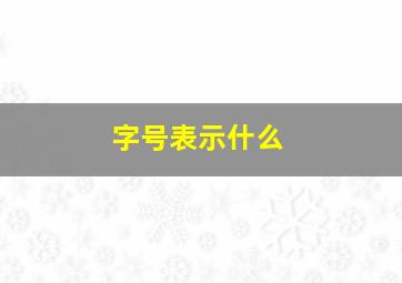 字号表示什么