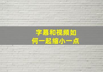 字幕和视频如何一起缩小一点