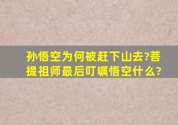 孙悟空为何被赶下山去?菩提祖师最后叮嘱悟空什么?