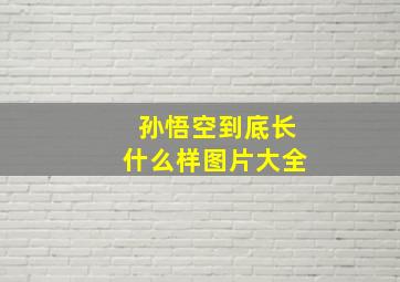 孙悟空到底长什么样图片大全