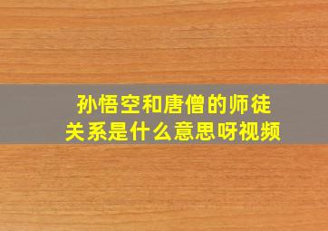 孙悟空和唐僧的师徒关系是什么意思呀视频