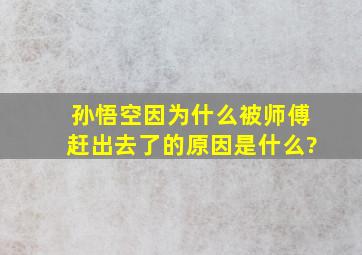 孙悟空因为什么被师傅赶出去了的原因是什么?