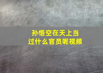 孙悟空在天上当过什么官员呢视频