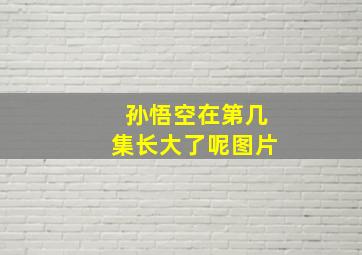 孙悟空在第几集长大了呢图片