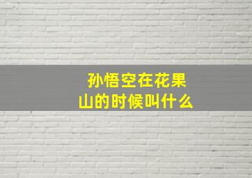 孙悟空在花果山的时候叫什么