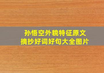 孙悟空外貌特征原文摘抄好词好句大全图片