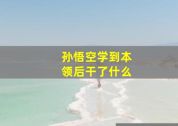 孙悟空学到本领后干了什么