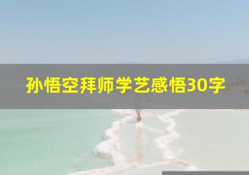 孙悟空拜师学艺感悟30字