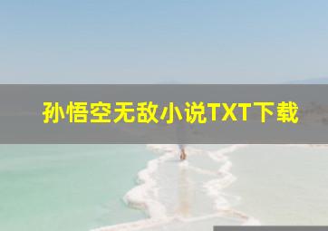 孙悟空无敌小说TXT下载