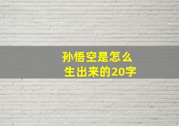 孙悟空是怎么生出来的20字