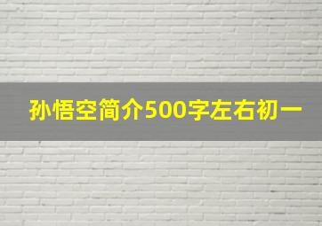 孙悟空简介500字左右初一