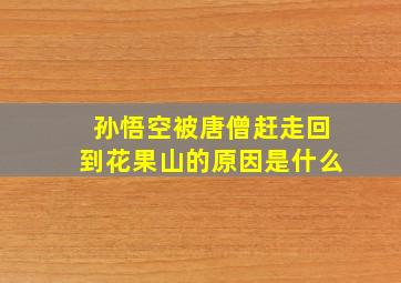 孙悟空被唐僧赶走回到花果山的原因是什么