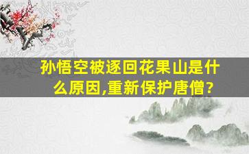 孙悟空被逐回花果山是什么原因,重新保护唐僧?