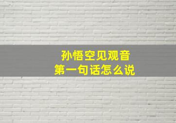 孙悟空见观音第一句话怎么说