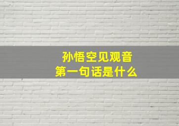 孙悟空见观音第一句话是什么