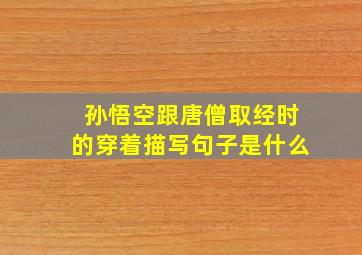 孙悟空跟唐僧取经时的穿着描写句子是什么