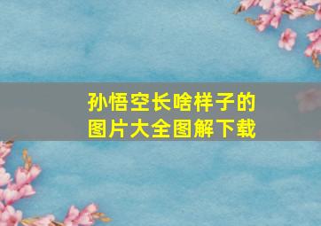 孙悟空长啥样子的图片大全图解下载