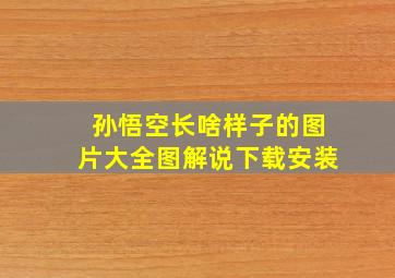 孙悟空长啥样子的图片大全图解说下载安装