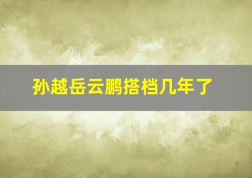 孙越岳云鹏搭档几年了