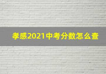 孝感2021中考分数怎么查