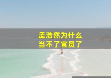 孟浩然为什么当不了官员了