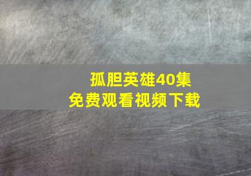 孤胆英雄40集免费观看视频下载