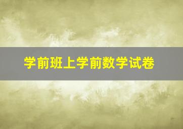 学前班上学前数学试卷