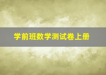 学前班数学测试卷上册