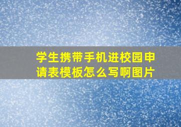 学生携带手机进校园申请表模板怎么写啊图片