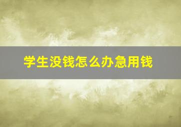 学生没钱怎么办急用钱