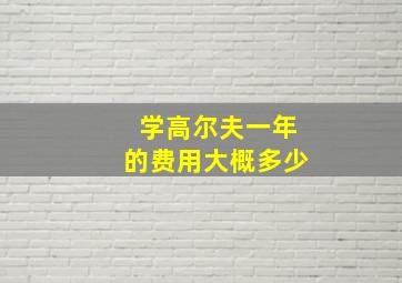 学高尔夫一年的费用大概多少