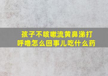 孩子不咳嗽流黄鼻涕打呼噜怎么回事儿吃什么药