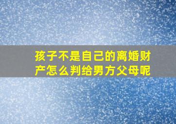 孩子不是自己的离婚财产怎么判给男方父母呢