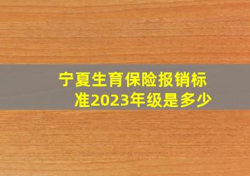 宁夏生育保险报销标准2023年级是多少