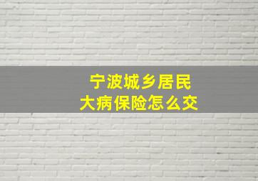 宁波城乡居民大病保险怎么交