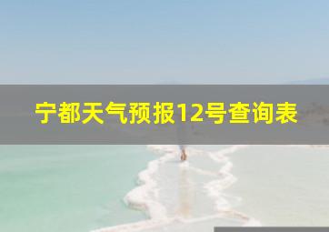 宁都天气预报12号查询表