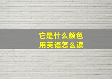 它是什么颜色 用英语怎么读