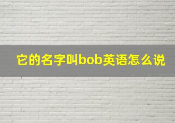 它的名字叫bob英语怎么说