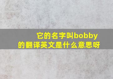 它的名字叫bobby的翻译英文是什么意思呀