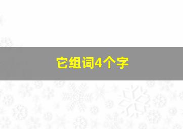 它组词4个字