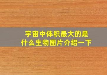 宇宙中体积最大的是什么生物图片介绍一下