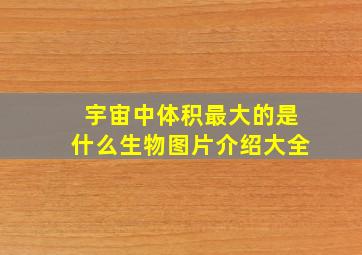 宇宙中体积最大的是什么生物图片介绍大全