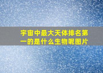 宇宙中最大天体排名第一的是什么生物呢图片