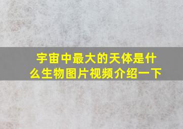 宇宙中最大的天体是什么生物图片视频介绍一下