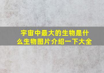 宇宙中最大的生物是什么生物图片介绍一下大全