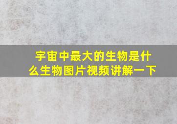 宇宙中最大的生物是什么生物图片视频讲解一下