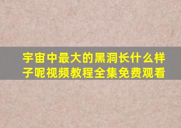 宇宙中最大的黑洞长什么样子呢视频教程全集免费观看